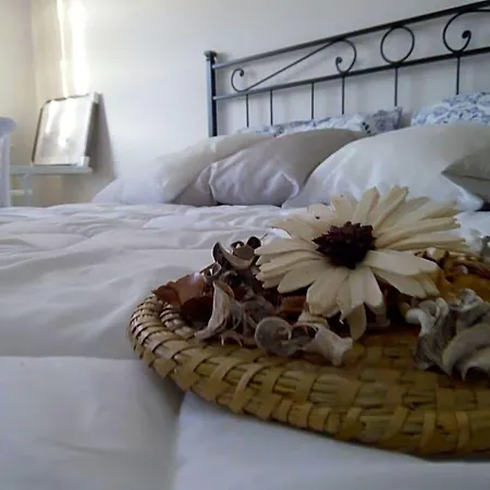 Lilium 3* Οτράντο