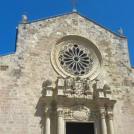 Lilium 3* Οτράντο