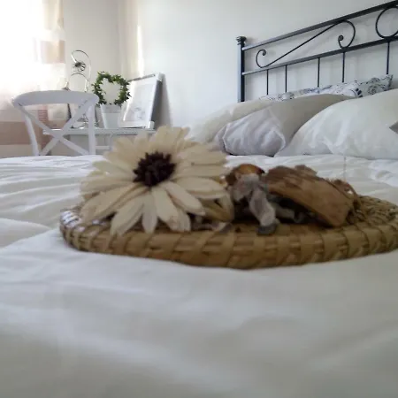 Alojamento de Acomodação e Pequeno-almoço Lilium